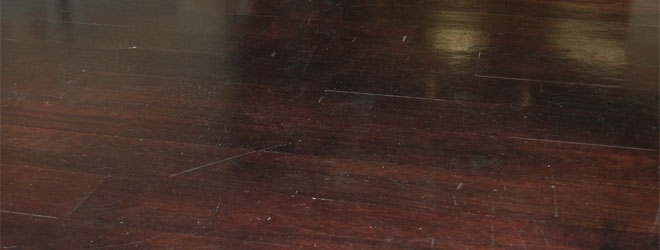 Before applying Xylexin coating